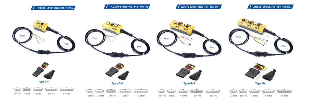 Xdl10-Epb3f/Ng 3 Wire Dump Trailer Industrial Remote Control Switch in Control Panel